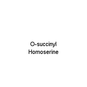O-succinyl Homoserine